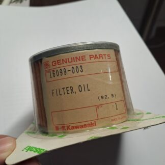 Filtro Olio Kawasaki 16099-003